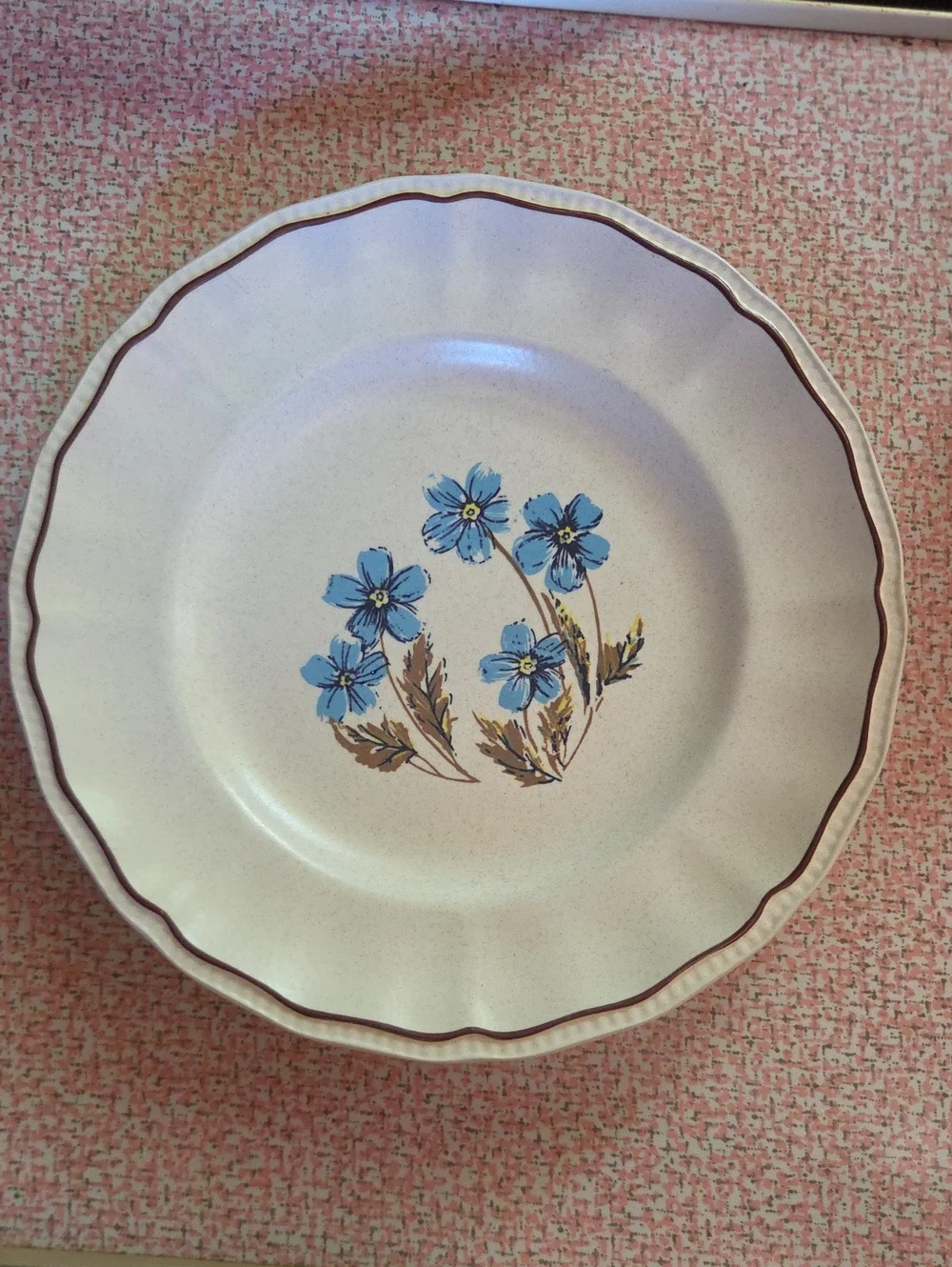 Vintage Kensington Staffordshire Ironstone Dinner Plate